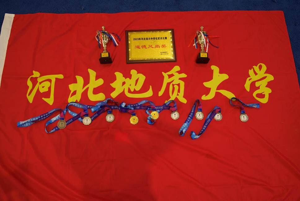 f3bc6ca9641a053a8313f73552f63e24